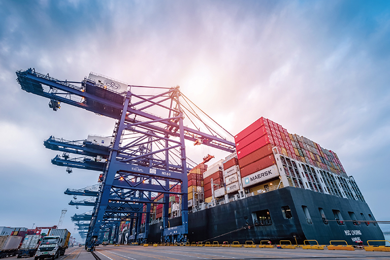 1752225138726945.jpg 660c2a91531e0a7179eea192da0efce.jpg